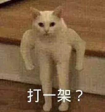 她们才是内娱最早的百合cp吧,如今台前相逢不相识