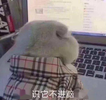 touchid回归,真香的iphone13还会有刘海吗