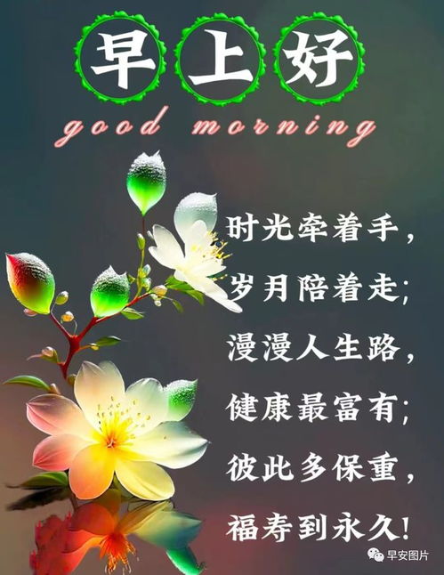 晚上好图片大全,晚上好漂亮表情图片,愿你健康好梦连连