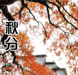 秋分了天凉祝福动态微信表情包