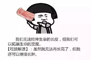 等待风味人间更新的日子里,这些纪录片也很下饭