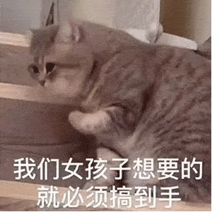 表情包取消置顶后才发现你垫底