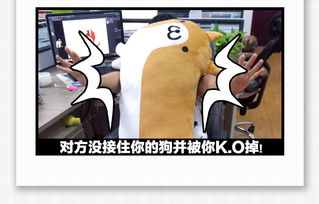 扔狗表情包单身狗创意搞怪柴犬二次元抱枕动漫周边毛绒靠垫