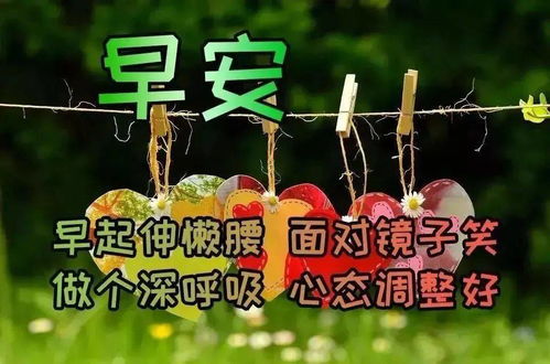 早上好蝴蝶非常漂亮图片,早安唯美漂亮的早上好图片