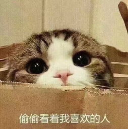 微信qq聊天撩人的套路和表情包第一弹知乎