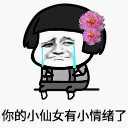 小仙女专用表情包