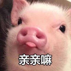 情侣互动必备表情包你的小可爱已上线,收到了我的爱心了吗