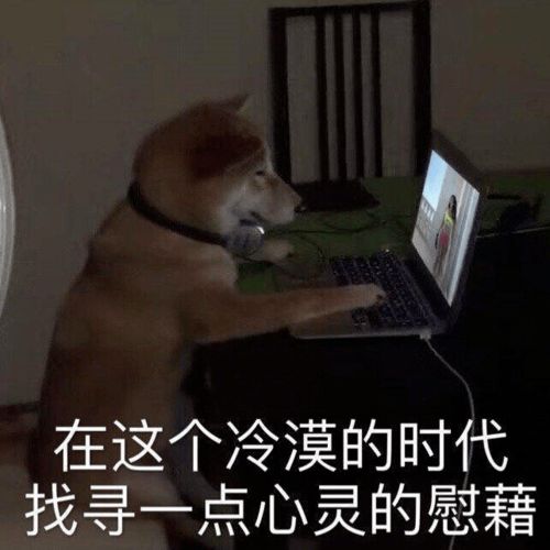 沙雕表情包大全搞笑图片作业
