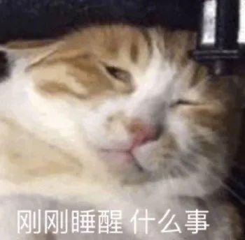 这家开发商,是在给自己的人生增加难度