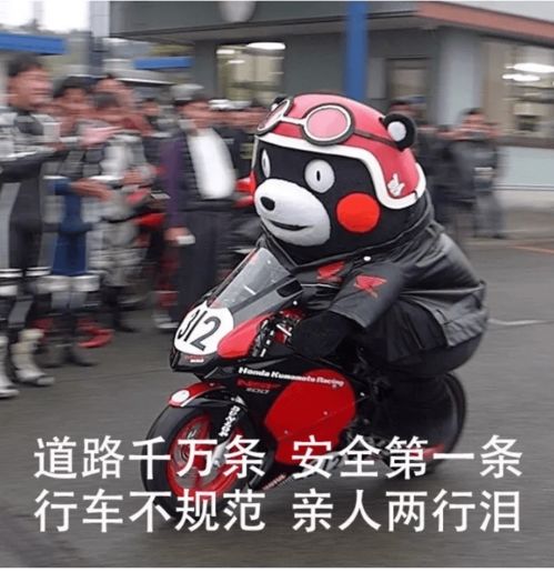 道路千万条,安全第一条,一盔一带践于行