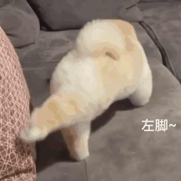 可爱搞笑又沙雕的表情包大全