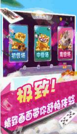 闲了来一把麻将赚金版