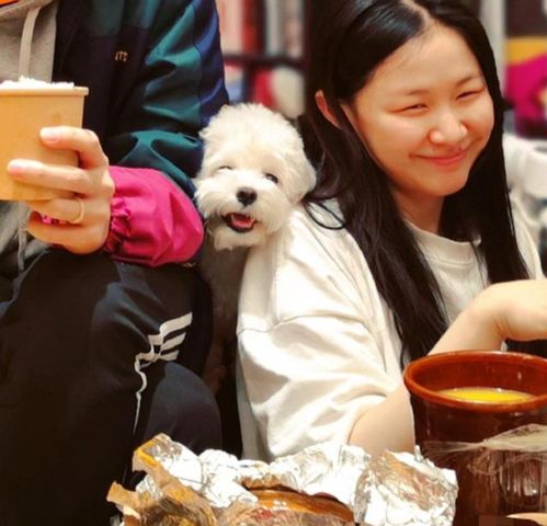 恭喜31岁金靖未婚当妈,二人早已同居,孩子爸爸身份被扒