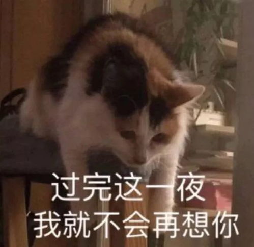 斗图昂憨逼一个罢了