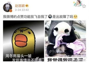 赵丽颖在周冬雨微博评论发表情包,她活跃的太像高仿号了