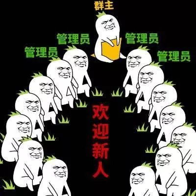 你若军训,便是晴天