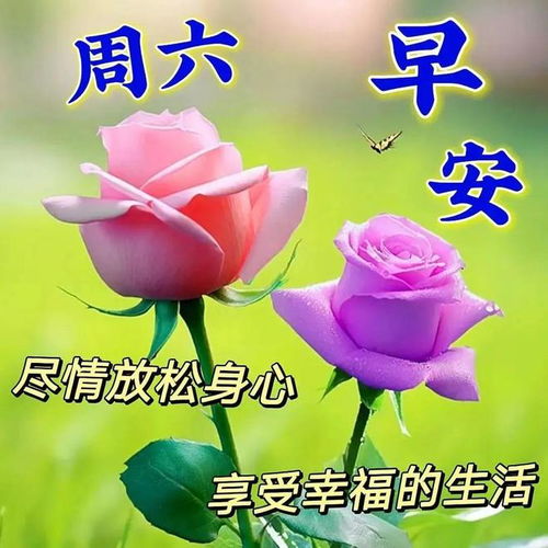 10月7日周六早上好,最新版漂亮早安祝福语表情图片大全