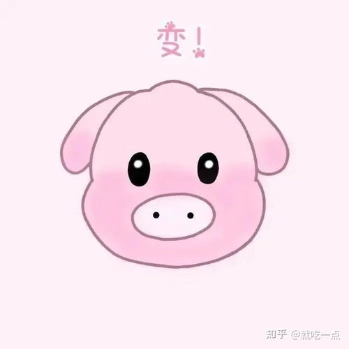你有哪些有趣的表情包