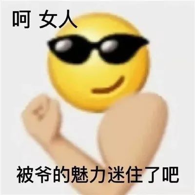精选热门又很火的聊天表情,摸清你的定位搞笑表情