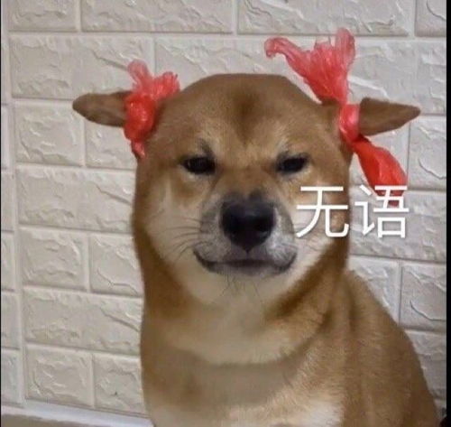 让人瞬间开心的爆笑笑话