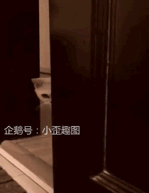 搞笑gif趣图原来小时候竞争就这么大了,怪不得我现在还单身