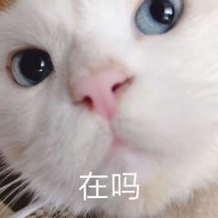 表情包你的小宝贝先睡了