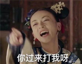 延禧攻略搞笑斗图表情包你给朕闭嘴朕让你撤回