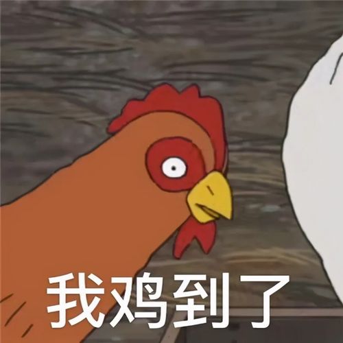 表情包男生女生都适合用