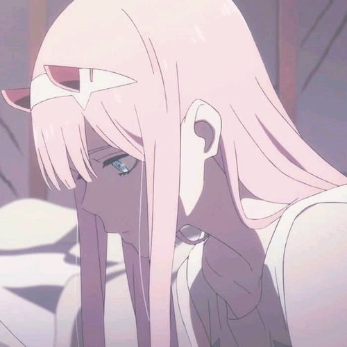 02图片1