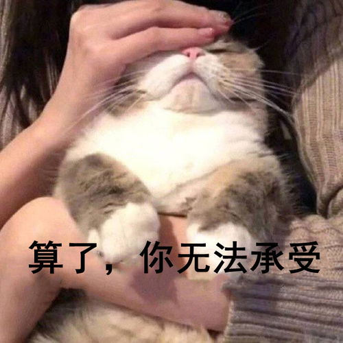 真诚发问南方人在北方能活几天
