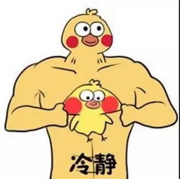 表情包,抖音七彩小黄鸭全套表情包哪里有