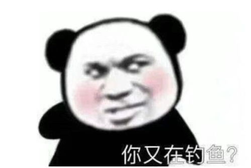 聊天必备表情包第16期