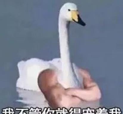 母鸭几年里一毛不拔,收拾仓库发现一大堆这东西母鸭成精了