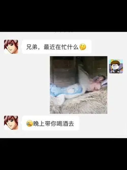 表情包每帧都是表情包套路男朋友表情包搞笑专治不开心