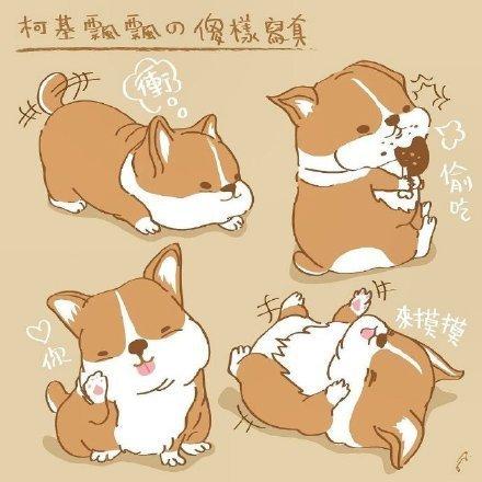 香港插画师pikng笔下胖嘟嘟的柯基,屁股实在太可爱了灵感的诞生项目治愈漫画