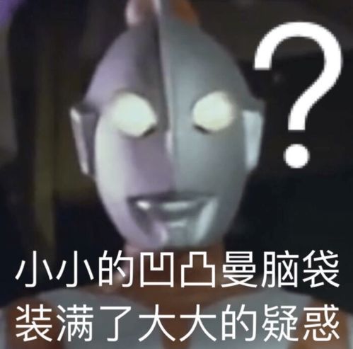 如何快速查询司法案件