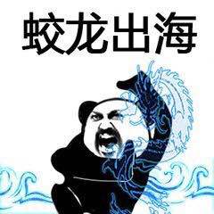 会武功表情包