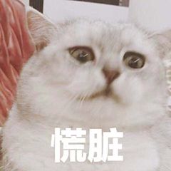 可爱搞笑又沙雕的表情包大全