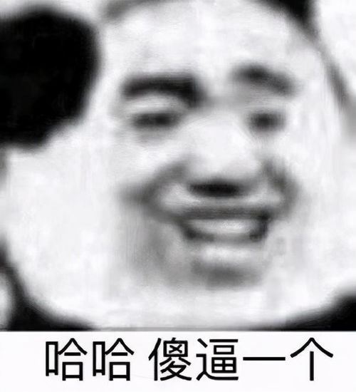 熊猫头沙雕表情包可以帮我买包盐吗我觉得我们的感情变淡了