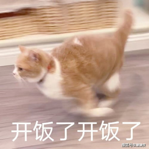 搞笑表情包图片生气了,绝交,这次不可能哄好的