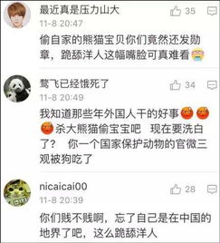 70年前这些外国人偷猎大熊猫,现在他们的孩子回来了,受到热烈欢迎