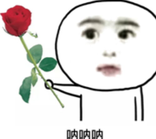 搞笑段子三人晚上翻墙出去包夜,第一个跳下去的大喊一声啊