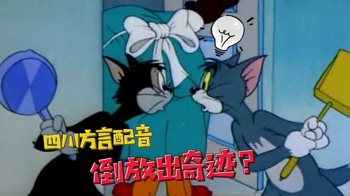四川方言天不怕地不怕,就怕猫和老鼠倒放还要讲搞笑四川话