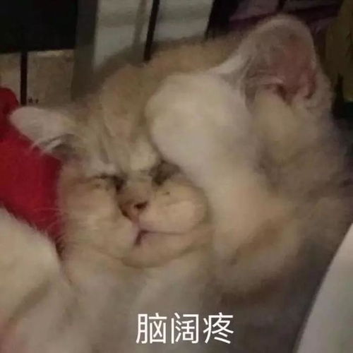 当沙雕猫咪表情包变成了小清新水彩画