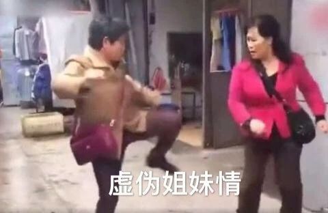 可爱搞笑的沙雕最新热门表情包图片