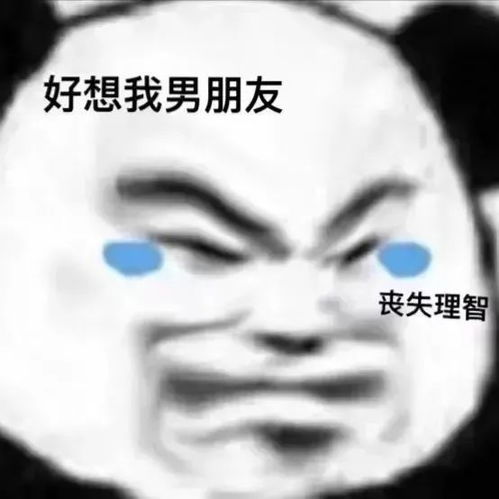 2021.04.19表情包