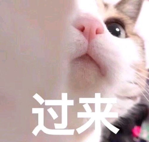 搞笑表情包妹妹你击中我了,尴尬不失礼貌的微笑