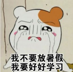 仓鼠管家暑假我要学习表情图关于暑假好好学习表情包搞笑版