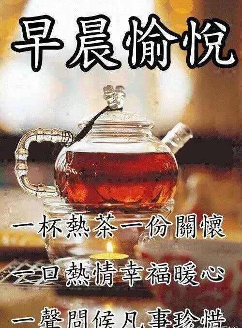 早上好表情包,晚上好图片大全,最新版朋友圈早上好表情问候祝