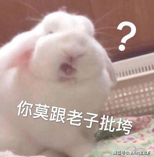 搞笑gif小朋友,这将是你人生的巅峰